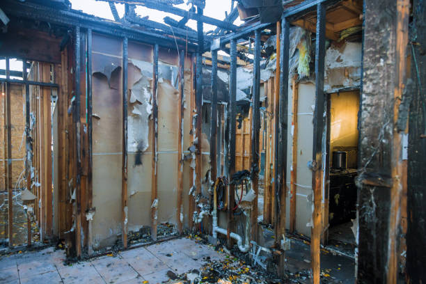 Professional Fire Damage Removal technician working in New Port Richey East, FL